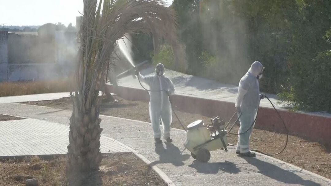 Tareas de fumigación en zonas verdes en La Puebla del Río