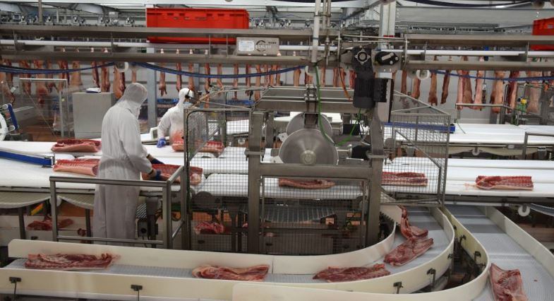 Planta ya existente del grupo Pini, Litera Meat