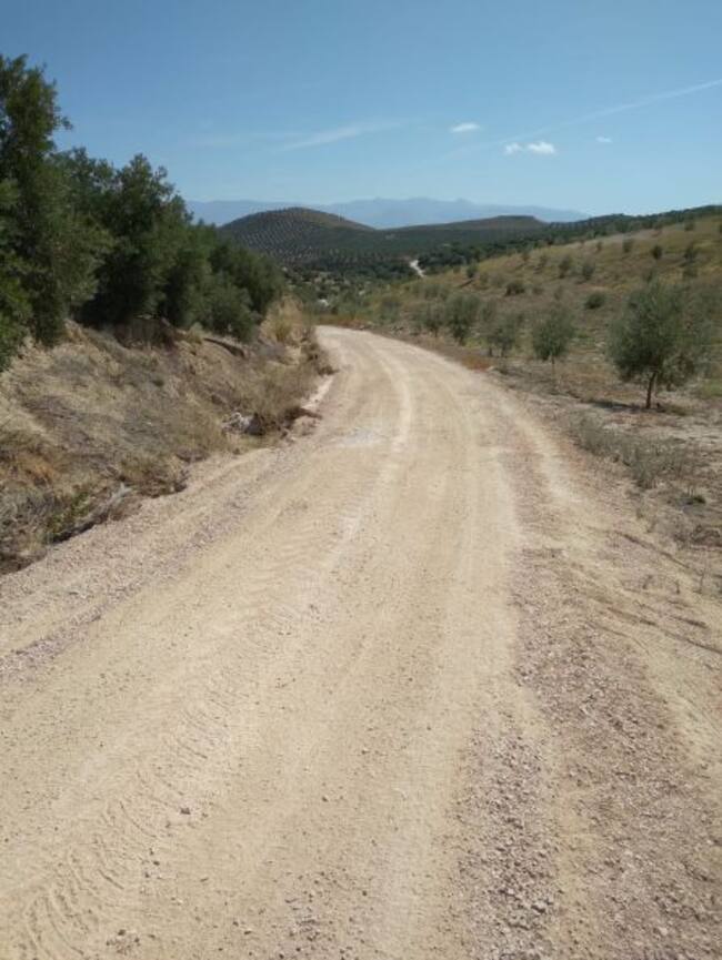 Uno de los caminos ya reparados