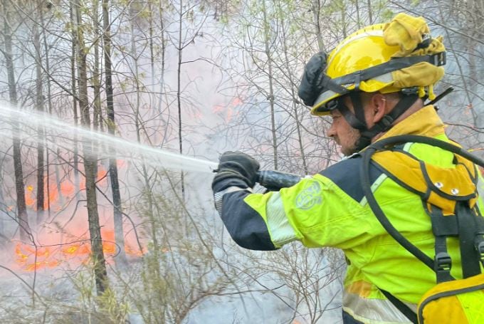 Incendio forestal