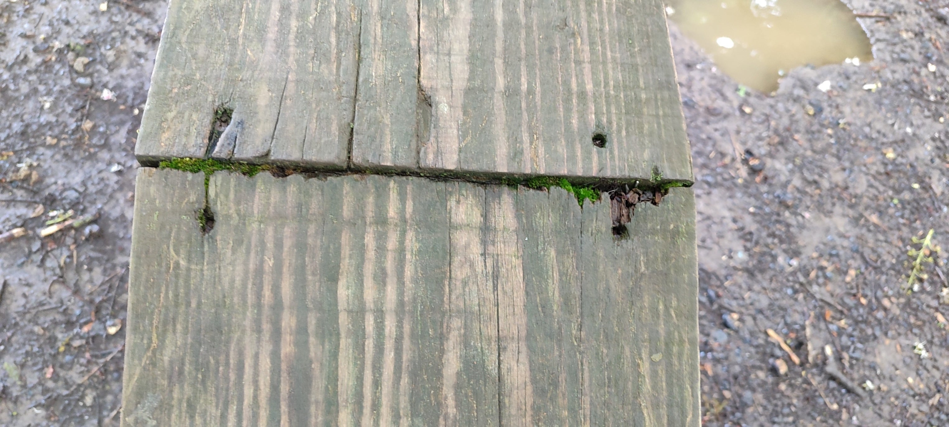 Detalle del estado del parque