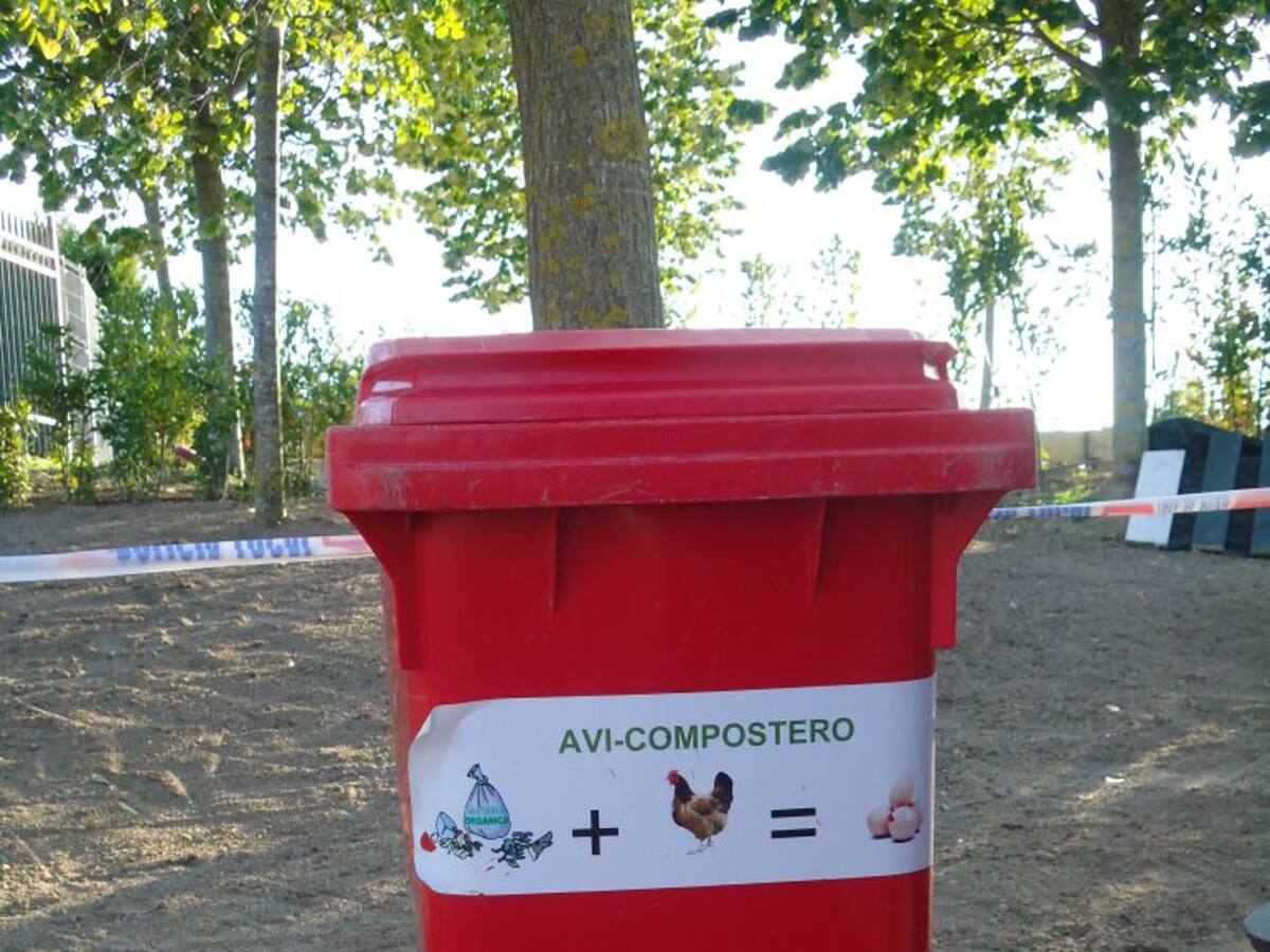 Los compogaliñeiros de la Diputación