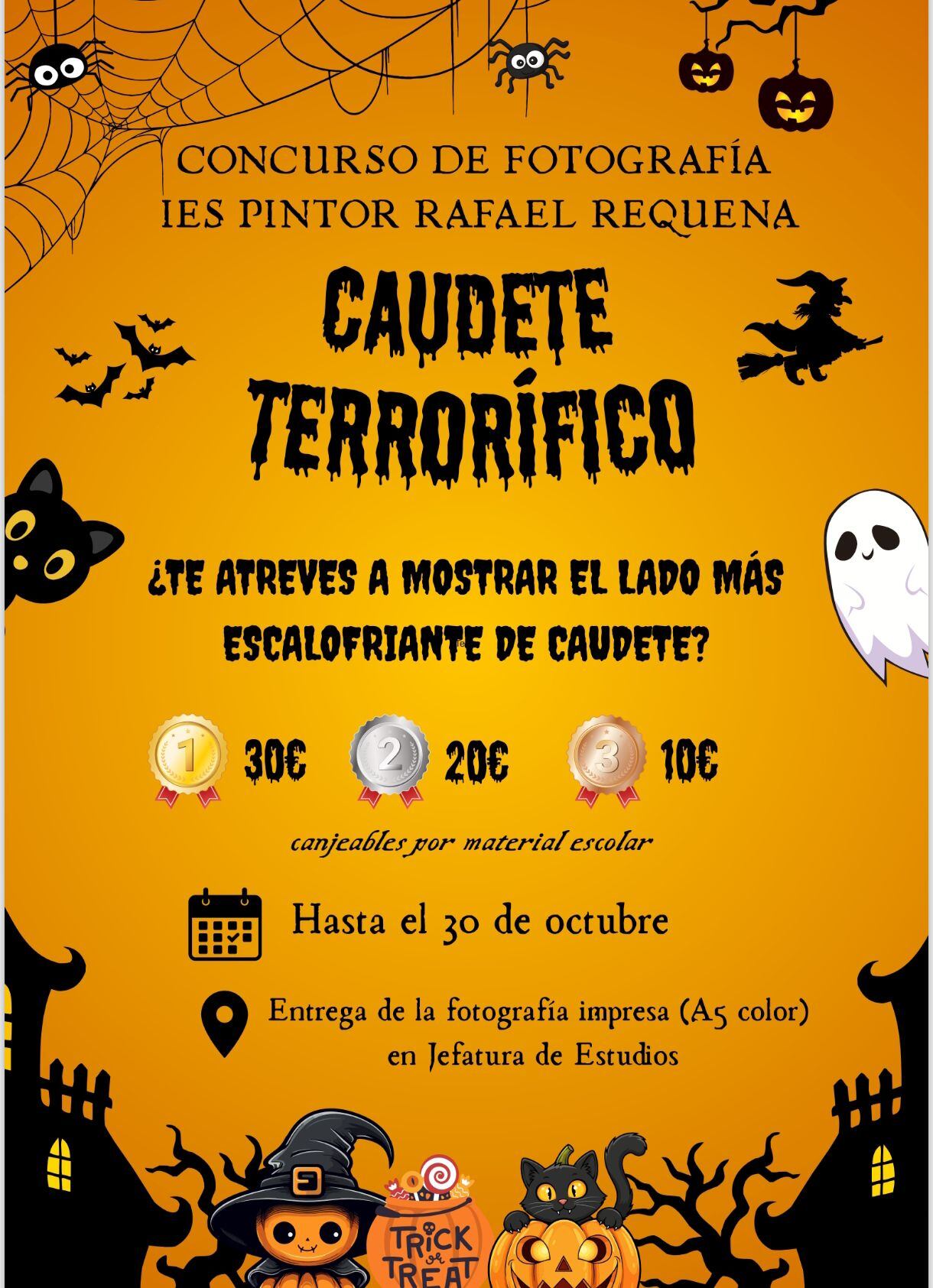 Concurso de fotografía