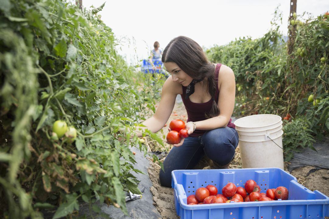 El techo de cristal del campo: sólo el 3% de las explotaciones agrarias de Murcia está en manos de mujeres 