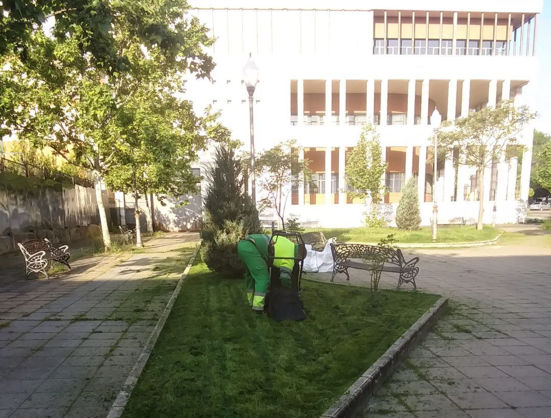 Técnico del Ayuntamiento trabajando en un parque de Mérida