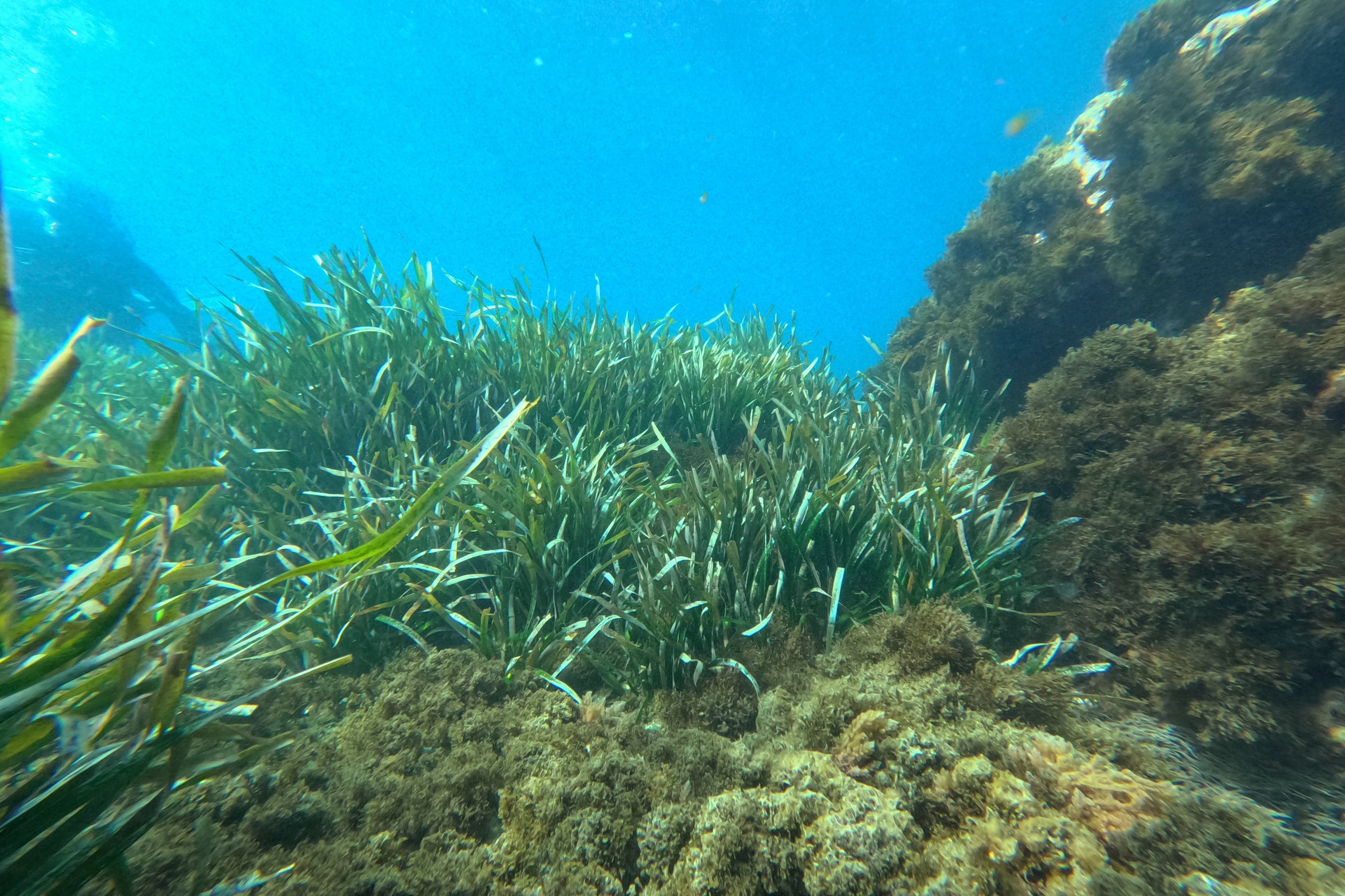 Los trabajos se desarrollarán hasta el próximo día 29