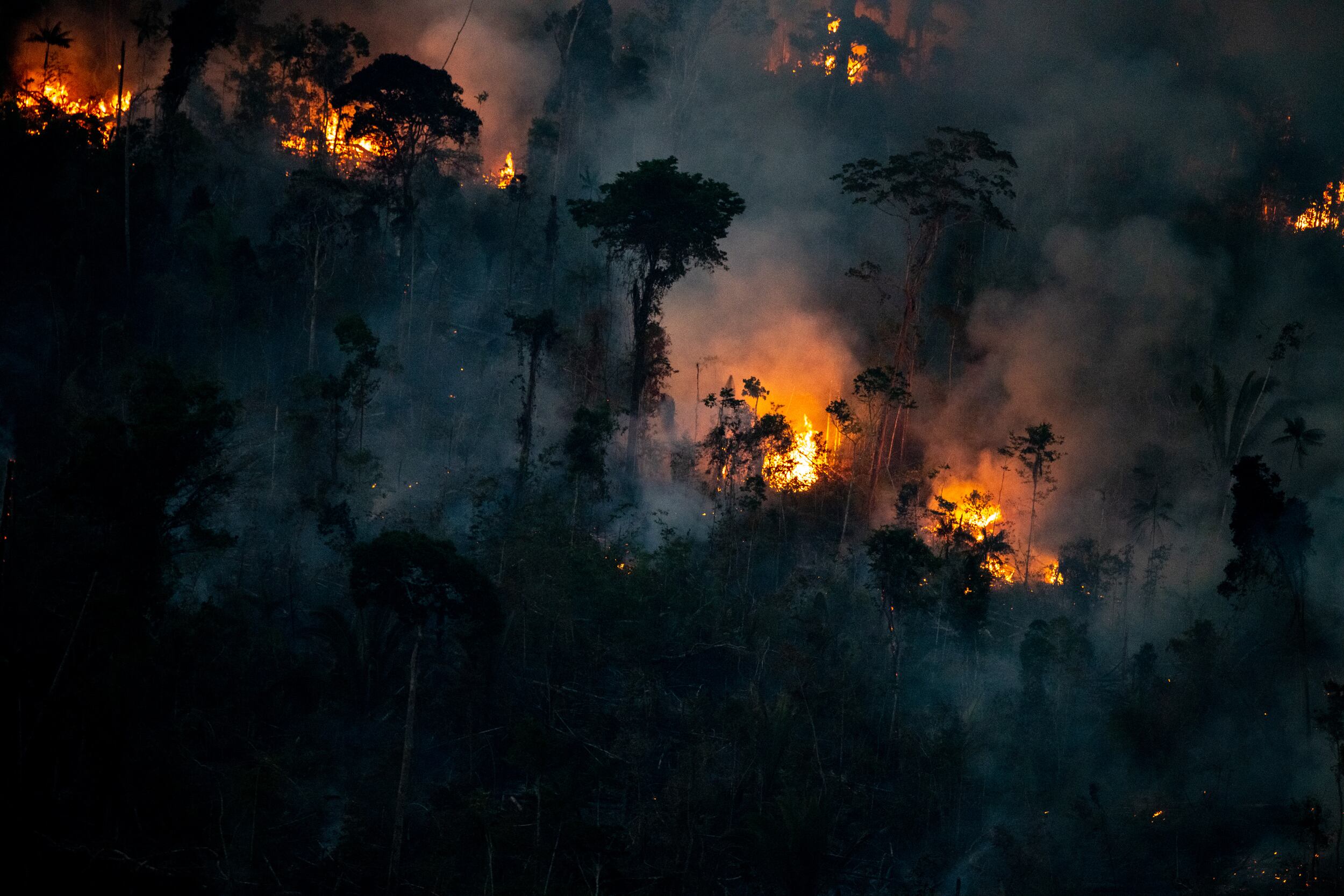 ME3420. MANICORÉ (BRASIL), 01/09/2022.- Fotografía cedida por Greenpeace fechada el 18 de agosto de 2022 de un incendio en Manicoré (Brasil). Brasil registró en agosto 33.116 alertas de incendio, el mayor número para el mes en los últimos 12 años, según informó el Instituto Nacional de Investigación Espacial (INPE). EFE/ Christian Braga / Greenpeace/ SOLO USO EDITORIAL/NO VENTAS/SOLO DISPONIBLE PARA ILUSTRAR LA NOTICIA QUE ACOMPAÑA/CRÉDITO OBLIGATORIO
