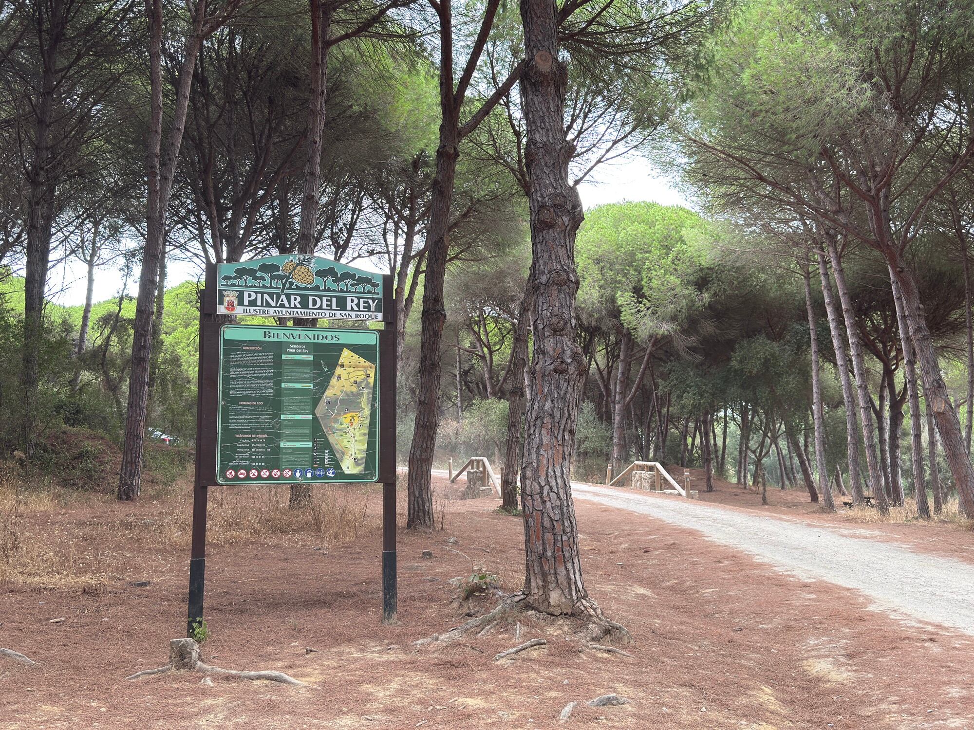 Pinar del Rey en San Roque