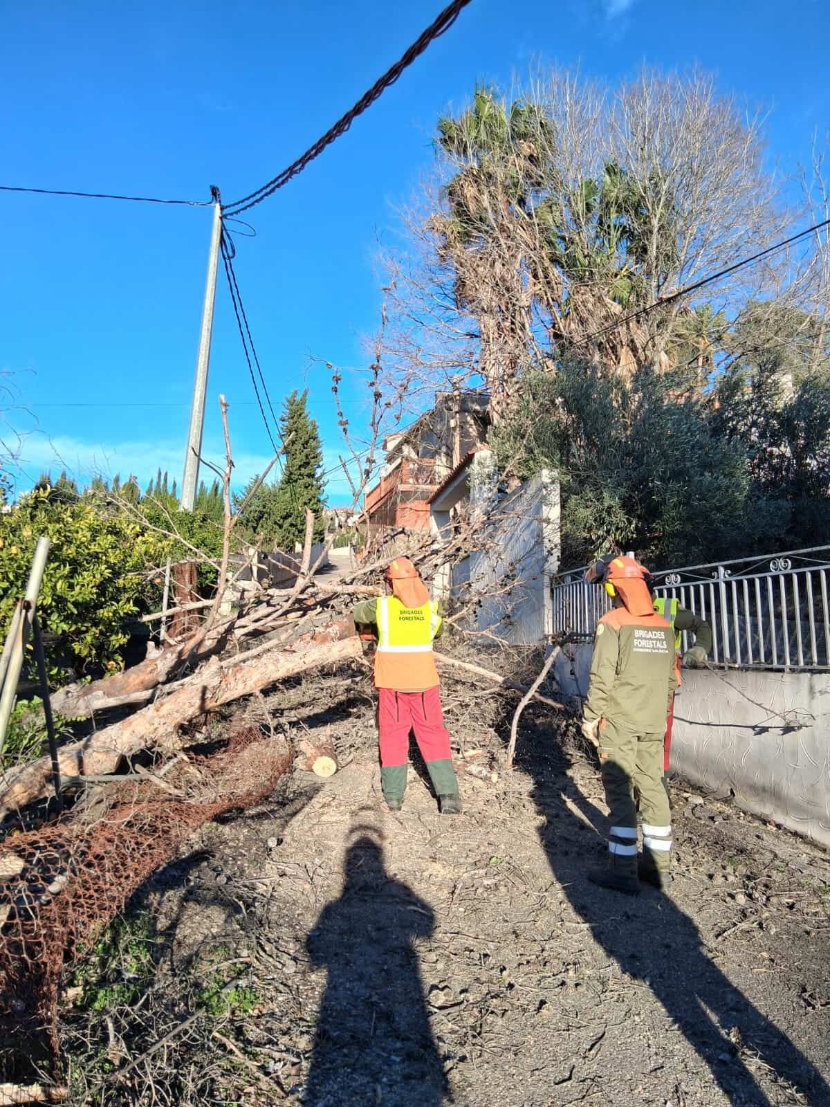 Brigadas de Bomberos trabajan en Bixquert. Fuente: Ximo Magas