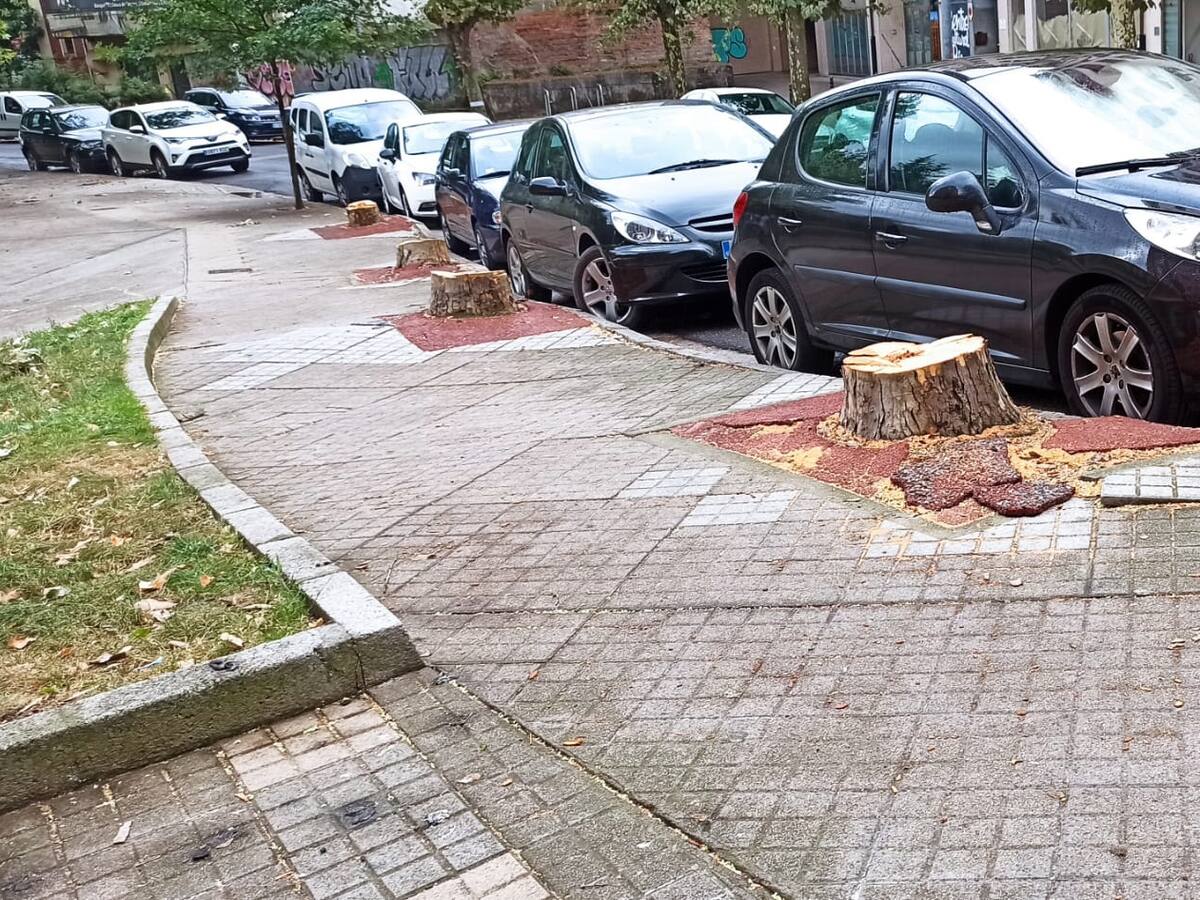 Cymotsa inicia el apeo de árboles plataneros en la calle Río Selmo de Ponferrada