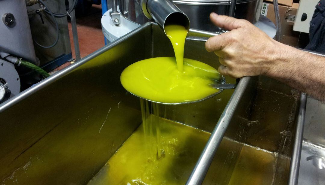 Aceite en una almazara.