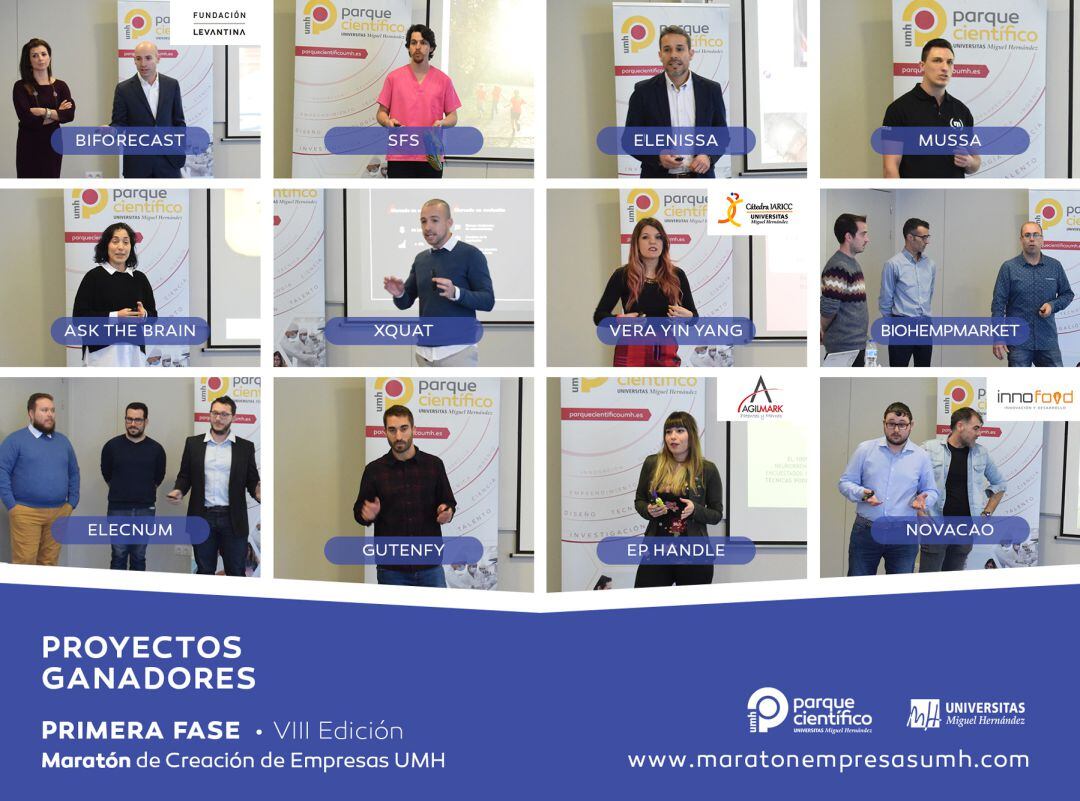 proyectos ganadores