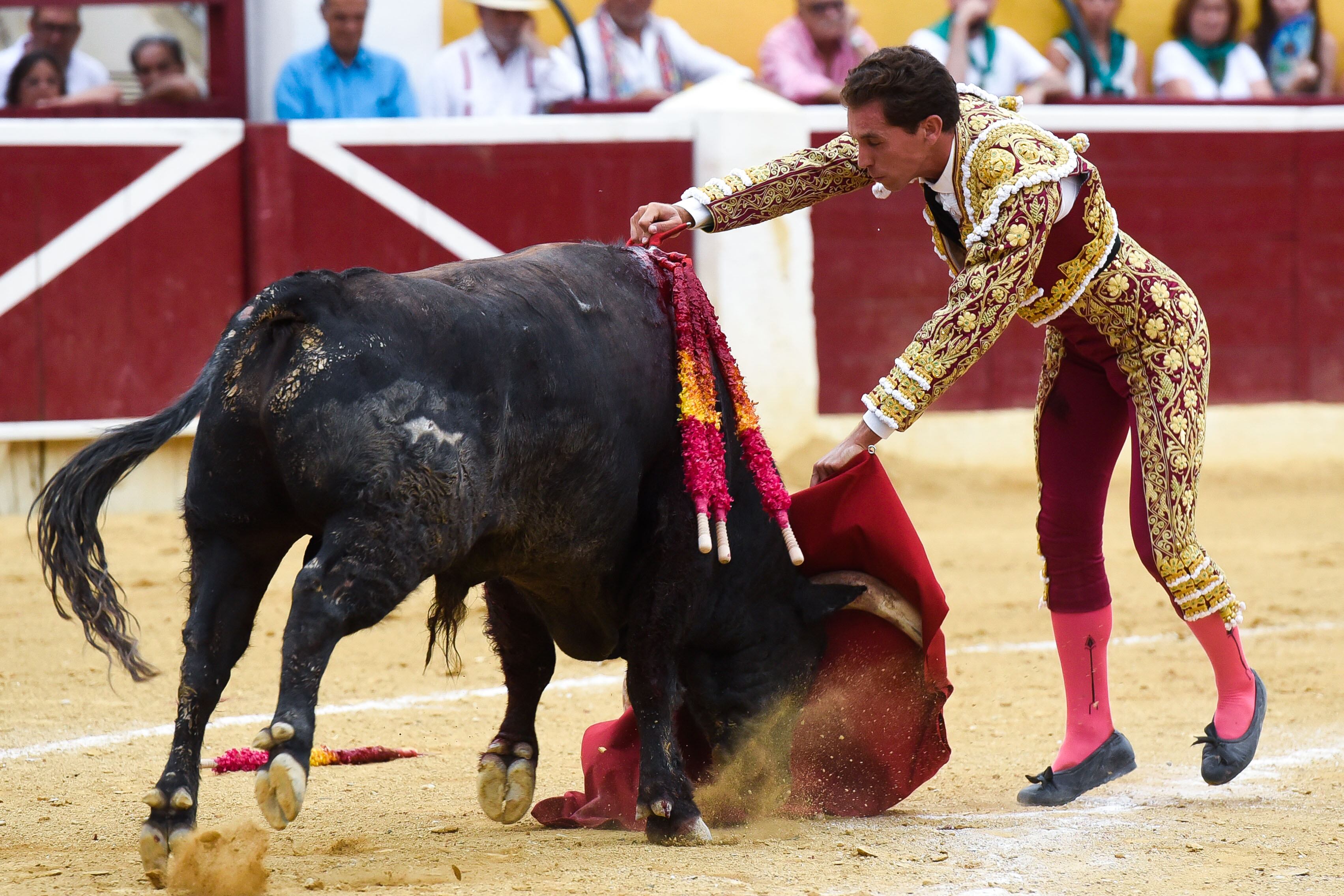 El diestro Ginés Marín en el cuarto festejo de la Feria de la Albahaca, el sábado en Huesca. EFE/JAVIER BLASCO