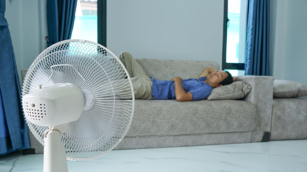 Entrevista a María Ángeles Bonmatí, doctora en Fisiología y profesora de la UMU