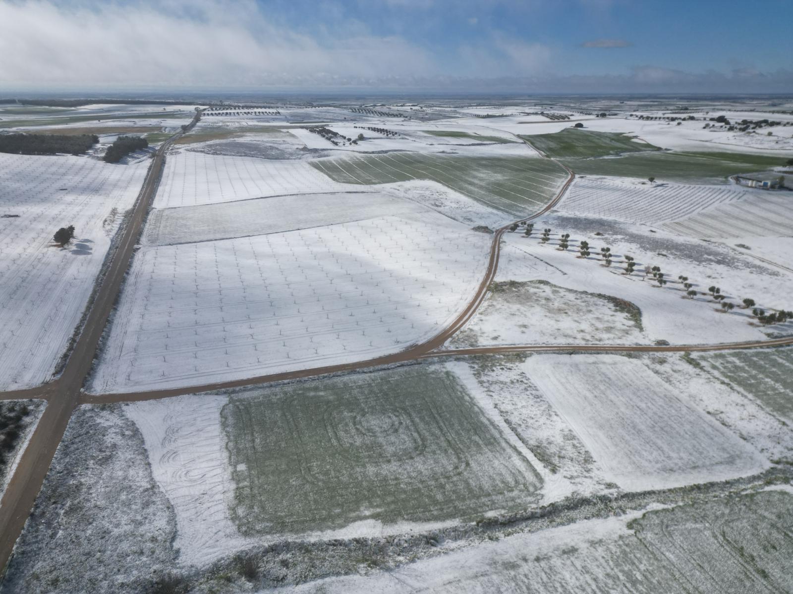 La nieve cubrió en la noche del sábado los campos de La Mancha