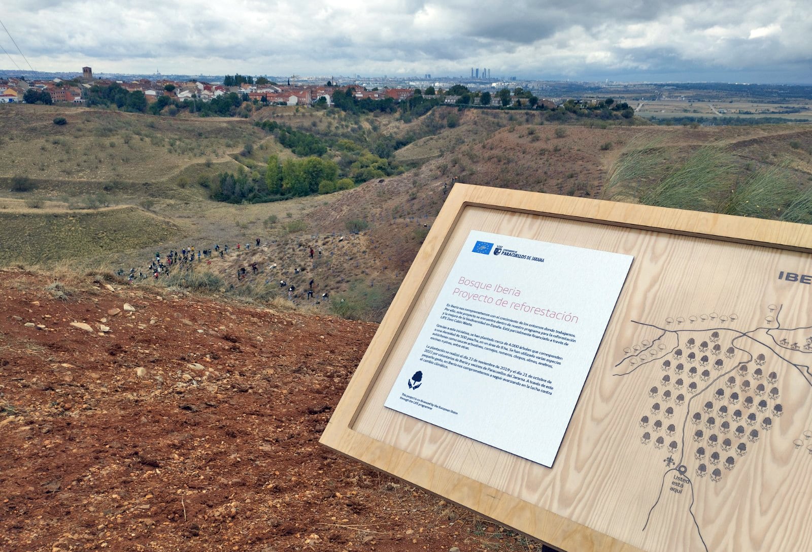 Paracuellos de Jarama e Iberia abordan la tercera fase de la plantación de 1.000 árboles