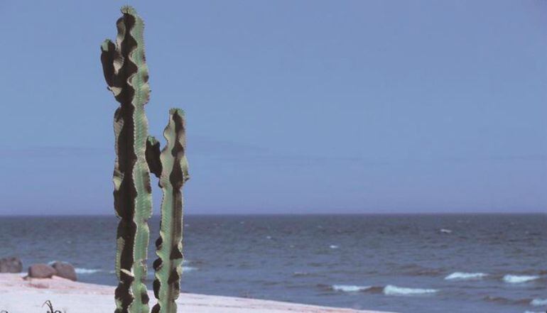 Playa El Saladillo Benamara (Estepona)
