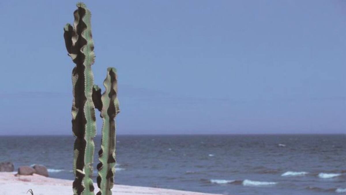 Llega una patera con 11 personas a Estepona