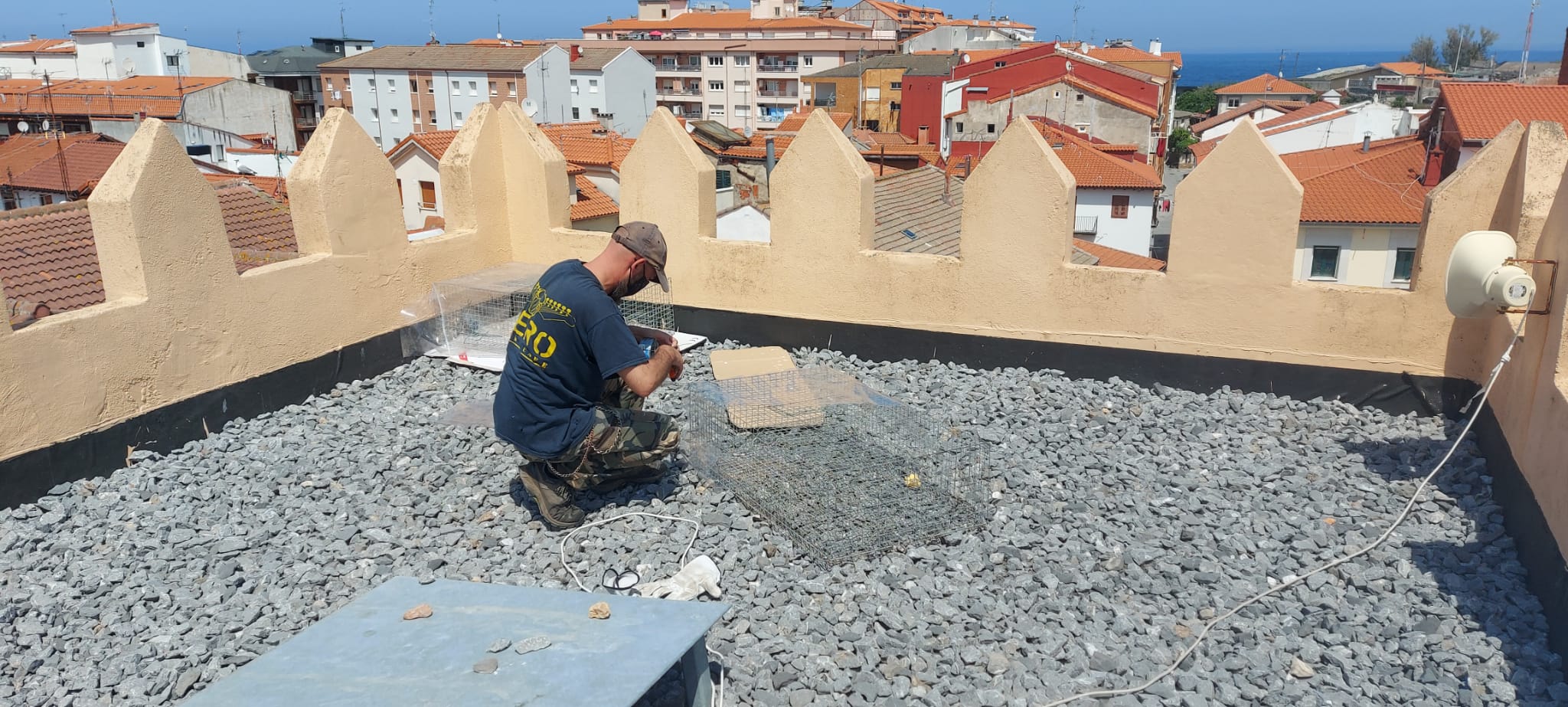 Un operario coloca una trampa en la azotea del edificio consistorial.