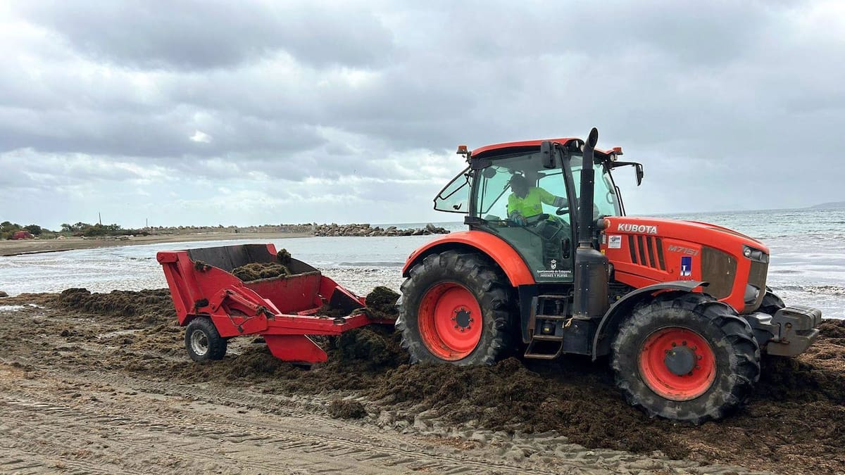 "Hay que prevenir la expansión del alga" M Altamirano, UMA