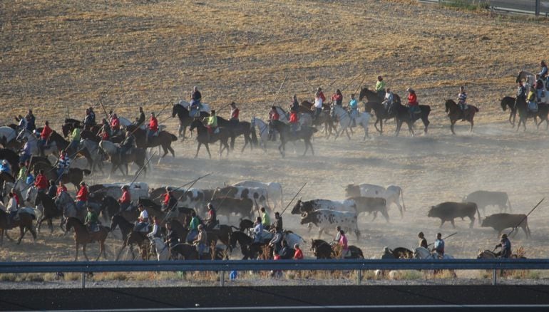 Los caballistas arropan a la manada en tras pasar la SG-205