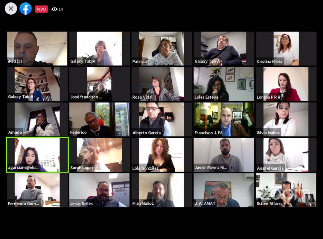 Pleno Ayuntamiento Elda