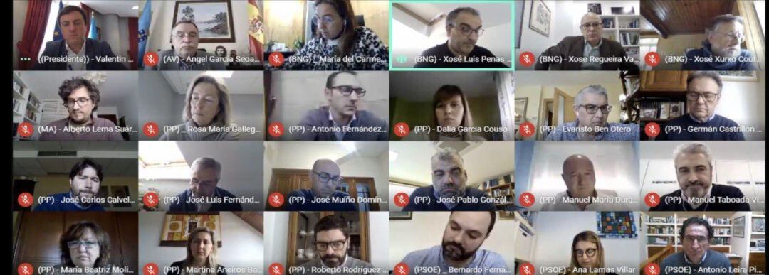 La Diputación de A Coruña celebra el primer pleno telemático de su historia por el confinamiento