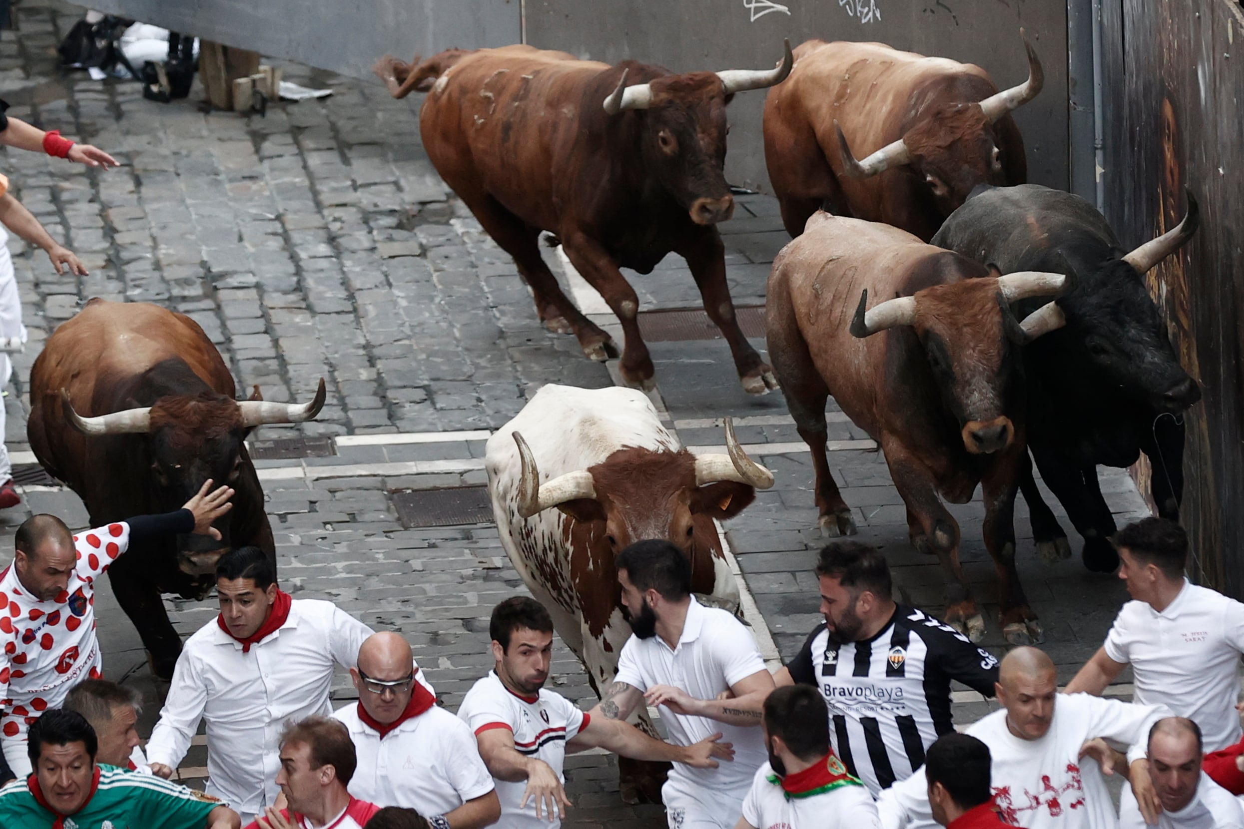 Los mozos, durante el octavo y último encierro de los Sanfermines 2022 con toros de la ganadería de Miura