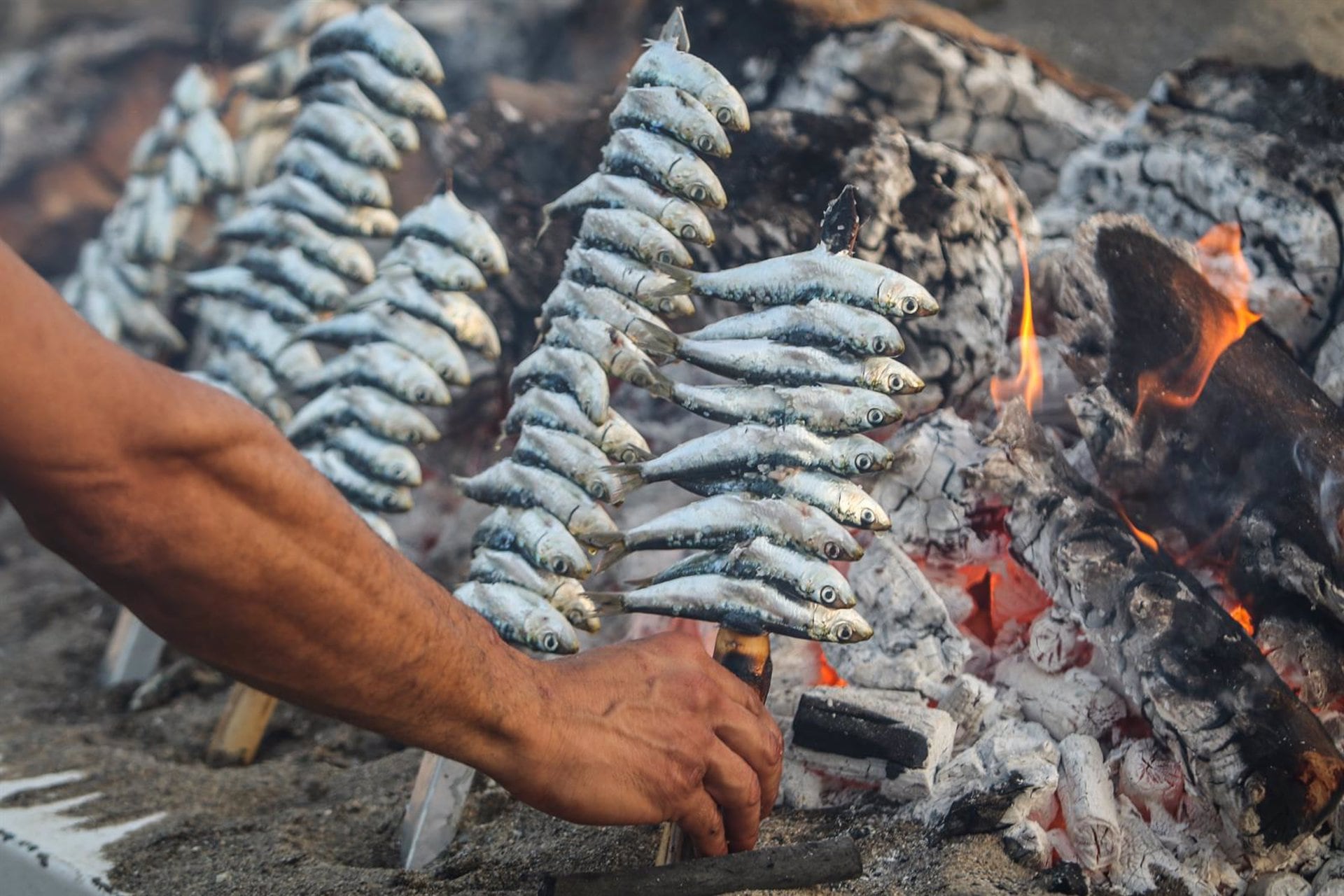 Espetos en la Costa del Sol