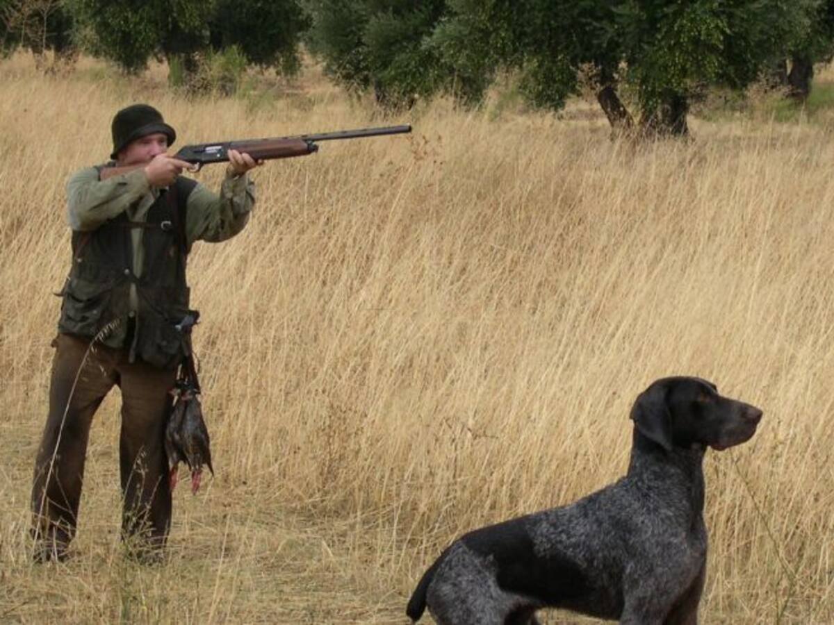 "Con la caza suspendida se han realizado controles de caza por daños a los cultivos este fin de semana"