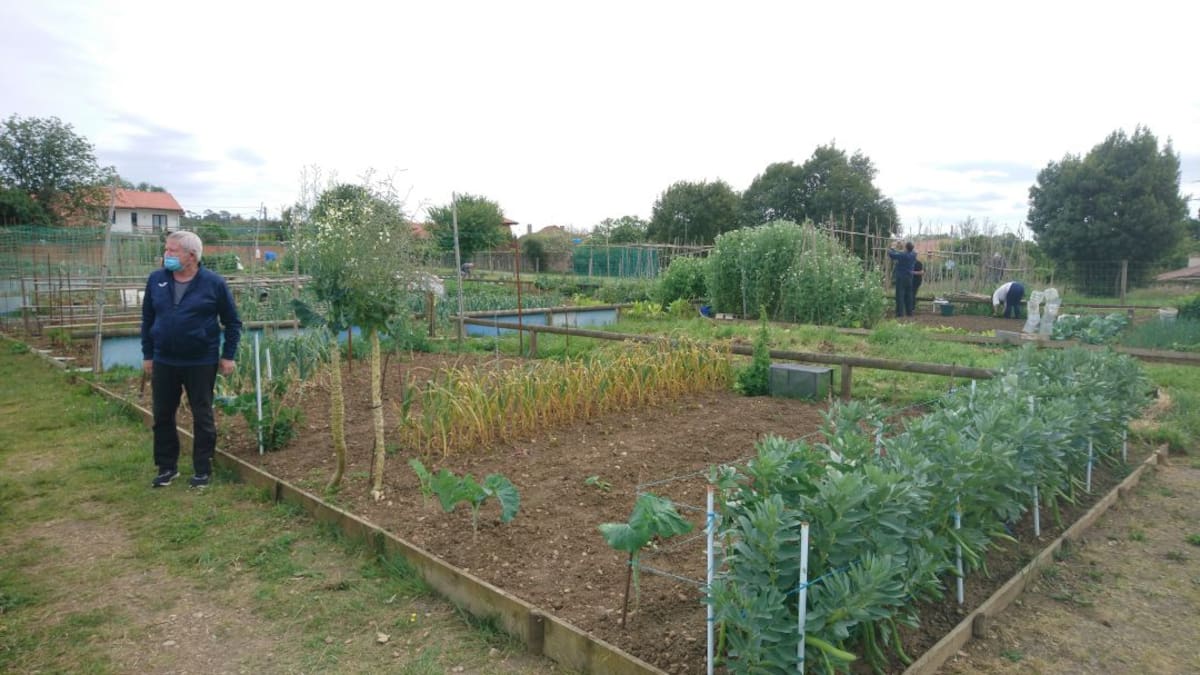 Prórroga para los usuarios de los huertos municipales de Gijón