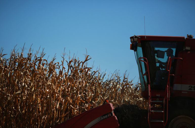 A farmer uses a combine to harvest corn in Shelbyville, Kentucky, U.S., on Tuesday, Sept. 23, 2014. Corn futures fell to a four-year low as farmers begin harvesting a record crop in the U.S., the world’s largest grower. Photographer: Luke Sharrett/Bloomberg
