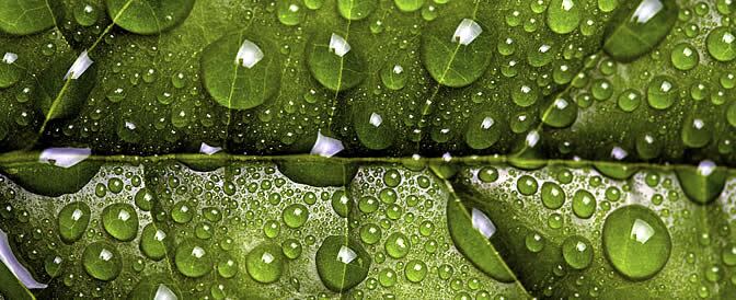 Se formará una nueva borrasca al noroeste de las islas Canarias, con chubascos moderados en las islas el sábado y las primeras horas del domingo 1 de mayo