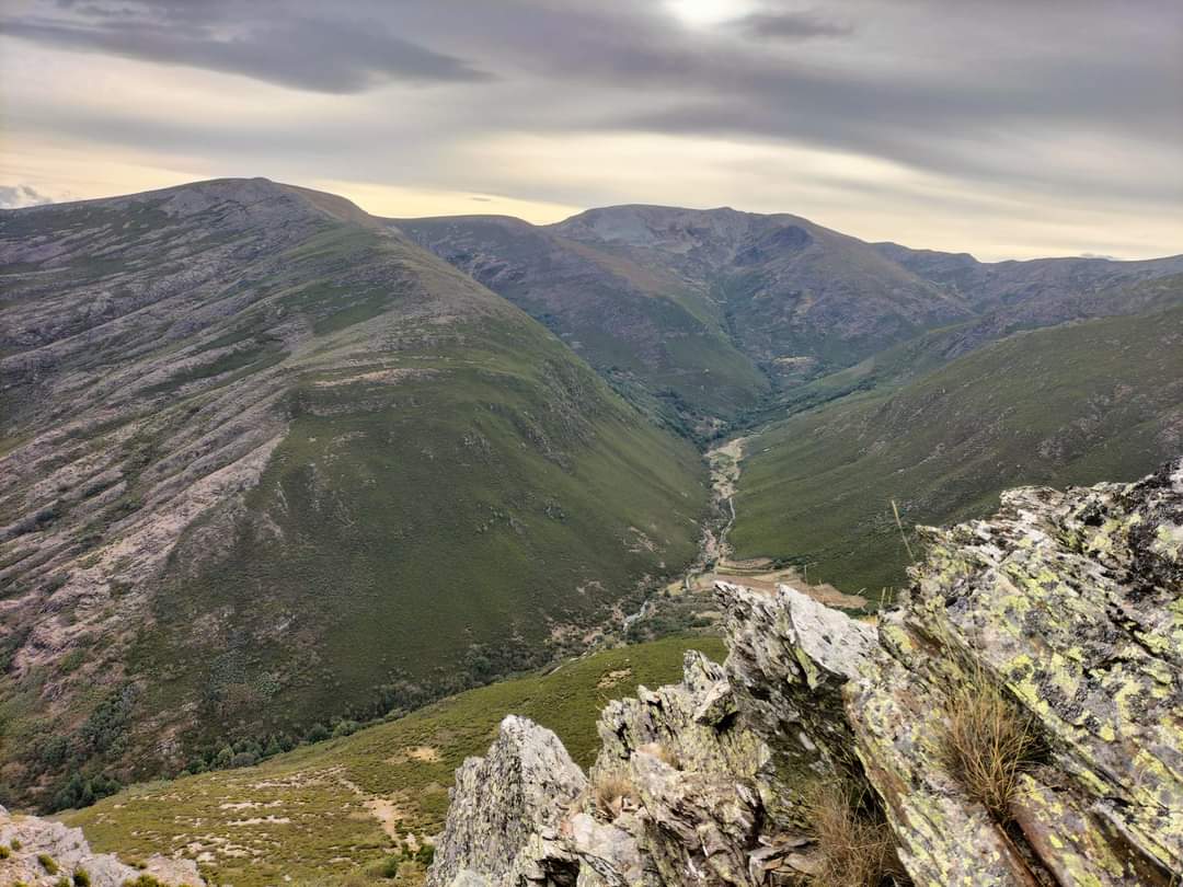 Entorno donde se avistó la berrea