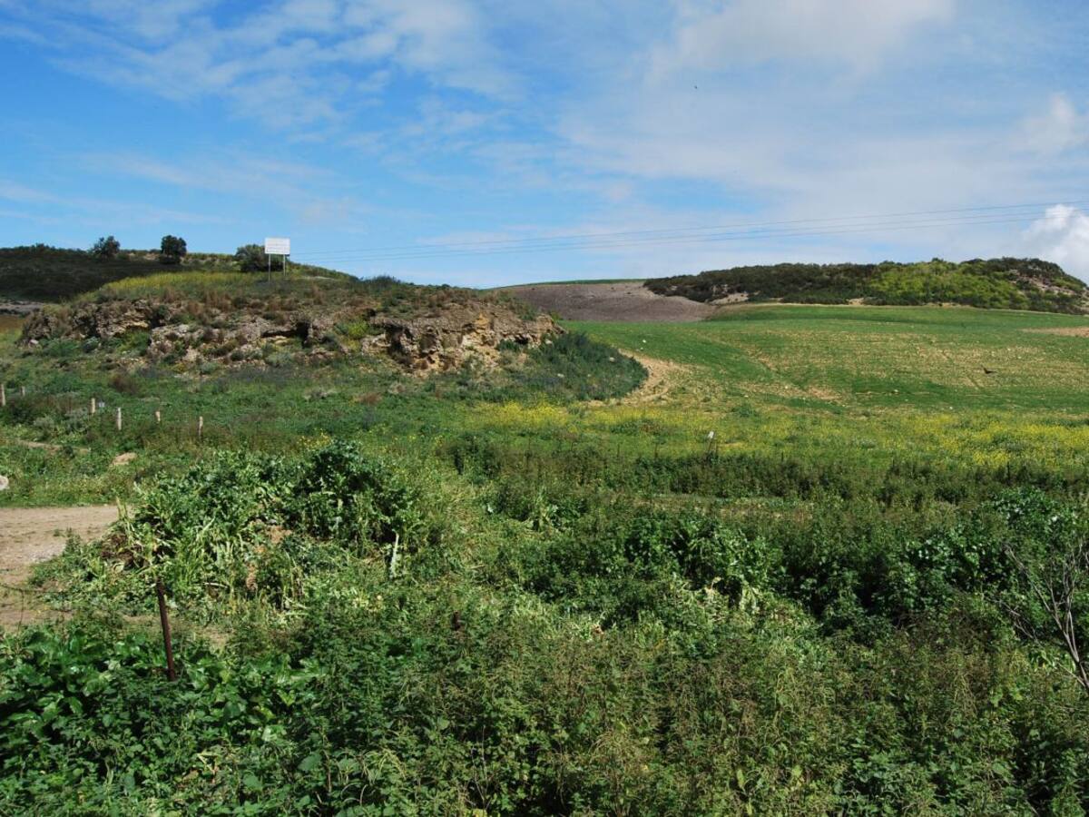 Arranca el plan director del yacimiento de Mesas de Asta