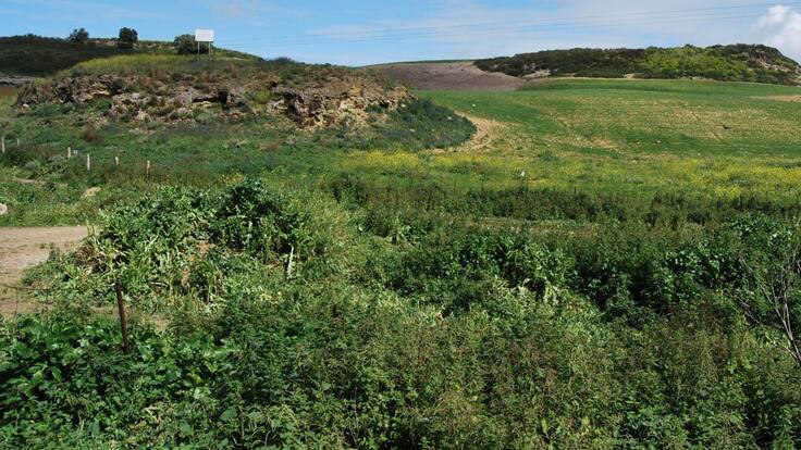 Entrevista con Pepe Ruiz Mata, de la plataforma Asta Regia