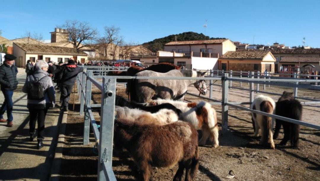 Feria Caballar en Tafalla