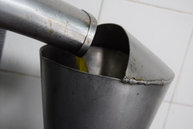 Dorado y denso, el aceite ya está listo para embotellar