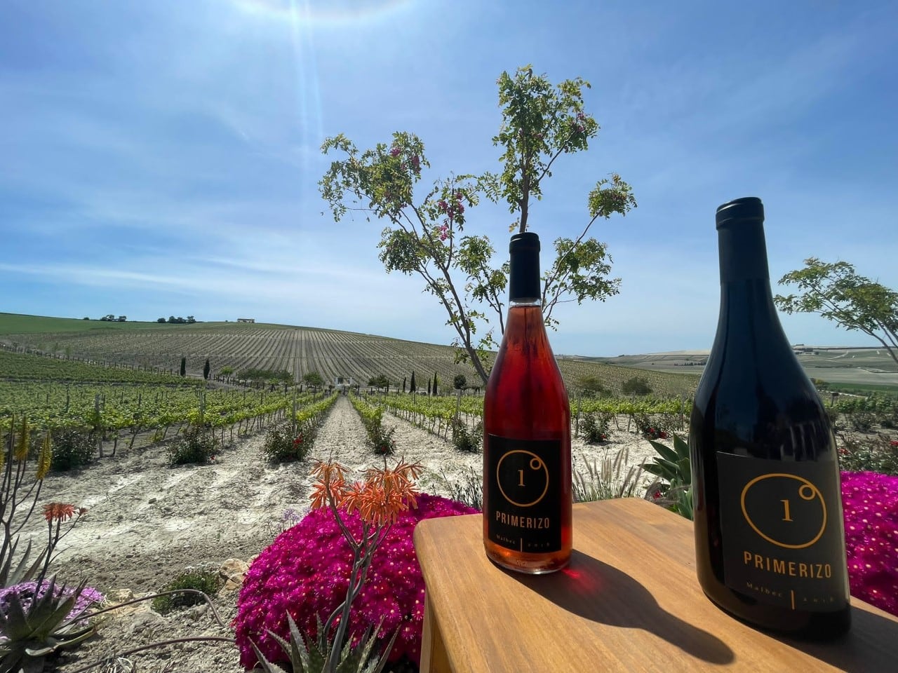 Botellas de rosado y tinto Primerizo