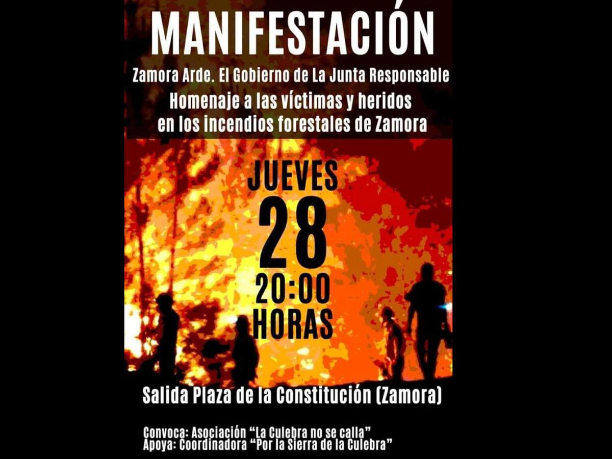 "La culebra no se calla" convoca una movilización para el 28 de julio