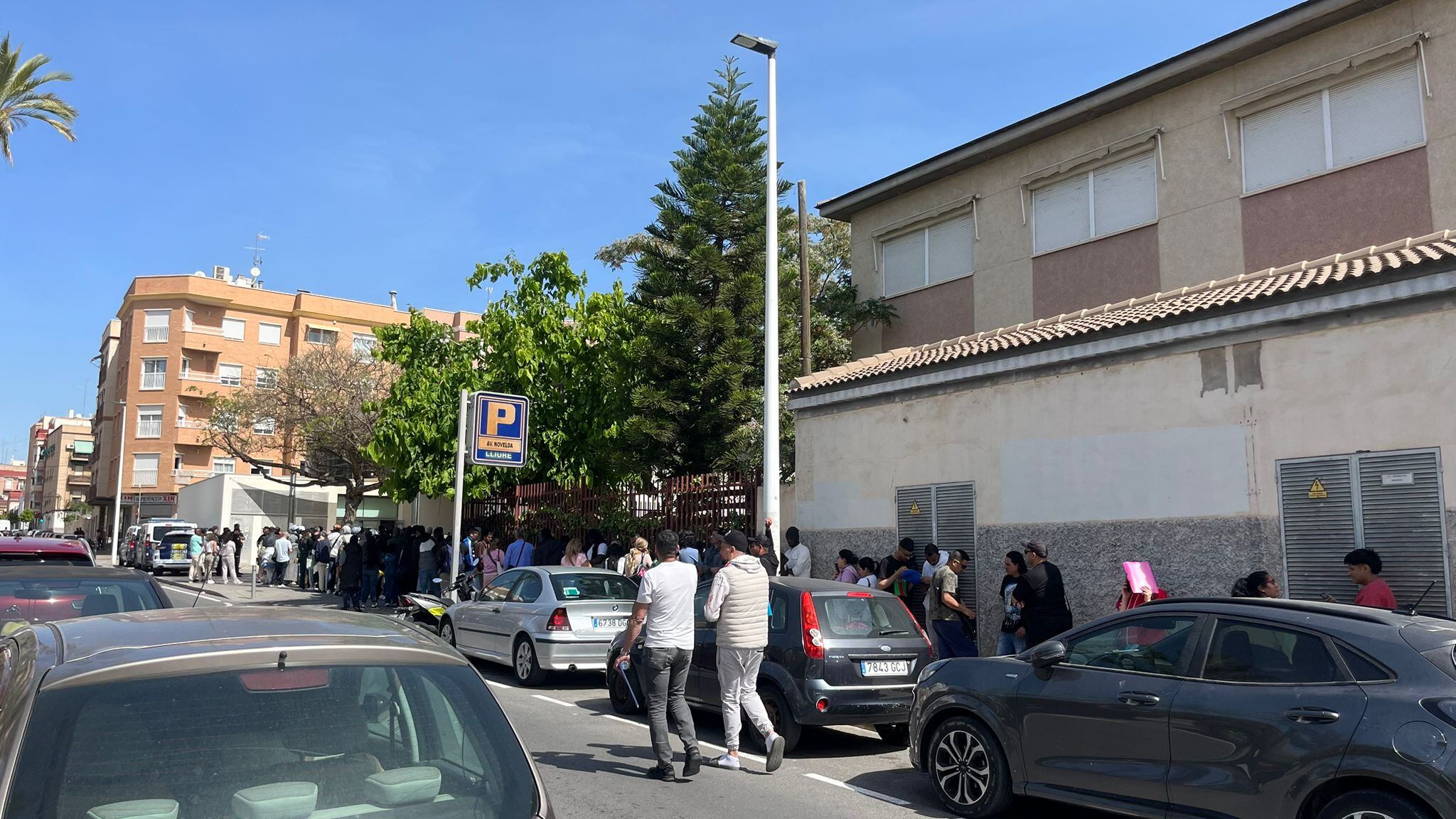 OFICINA PANGEA ELCHE