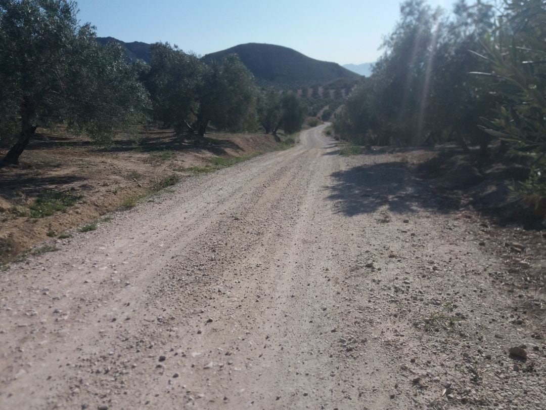 Tramo del camino de Jacichovas en el que se va a actuar