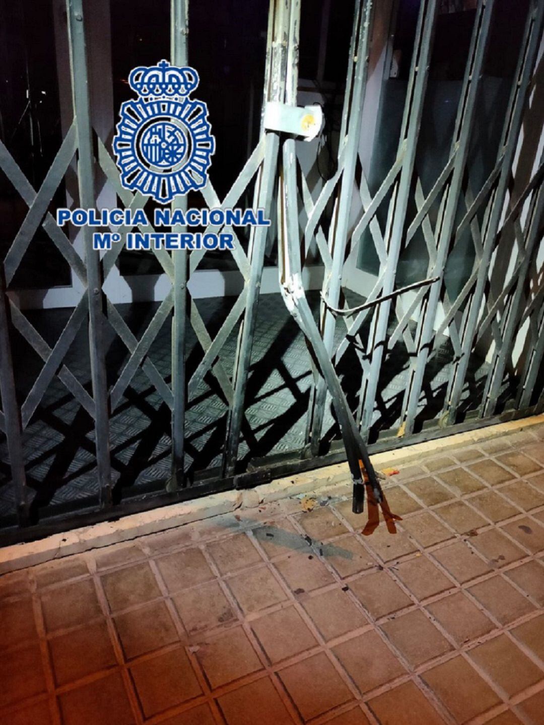 Reja forzada del establecimiento