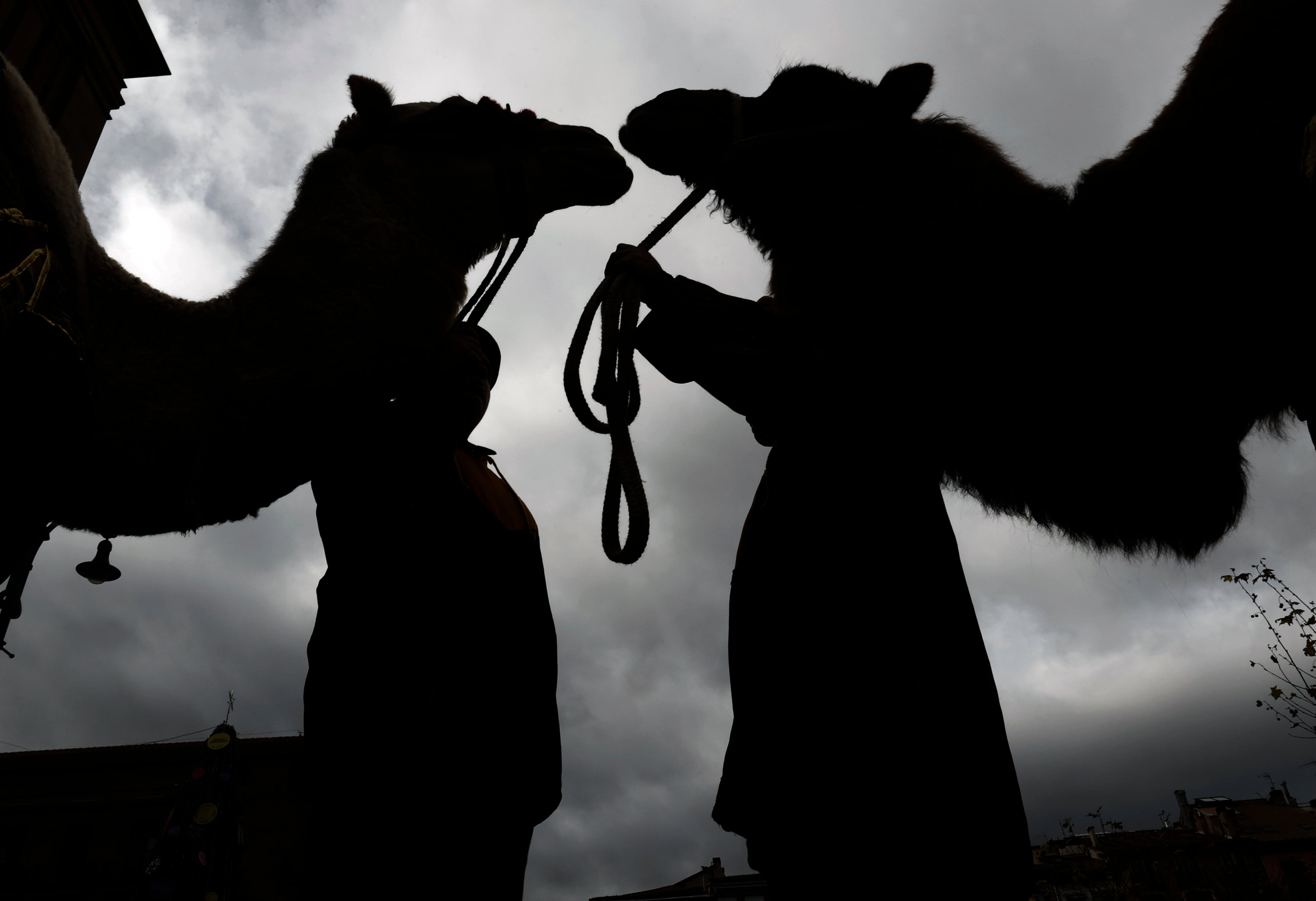 Los Reyes Magos se siguen aproximando a los hogares de toda Sevilla. EFE/ Jesús Diges