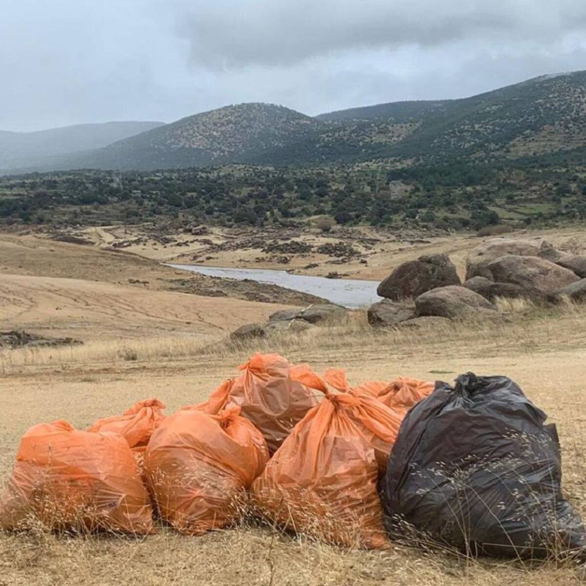 Recogen 733 kilos de basura en El Burguillo (Ávila)