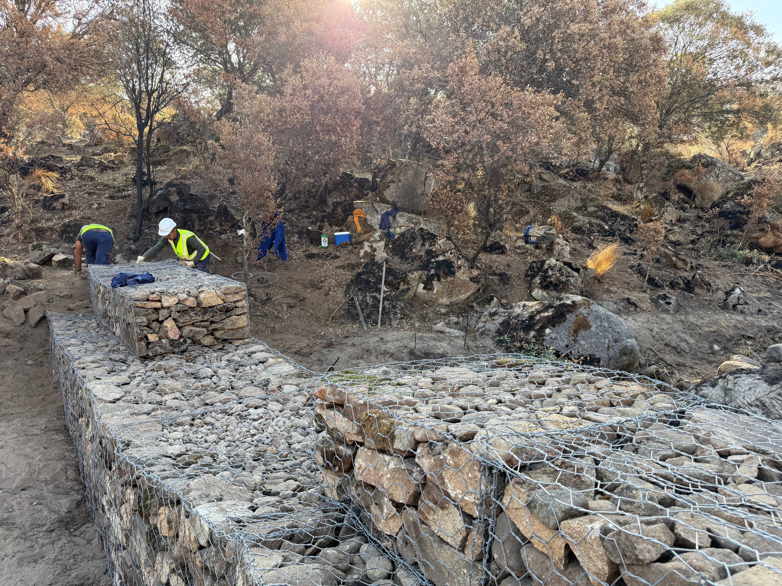 Trabajadores actuando en una zona quemada