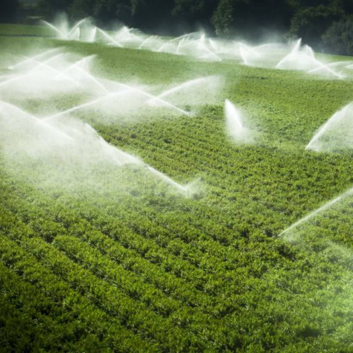 El Canal Alto anima a los regantes del Bajo ante la decisión de modernizar