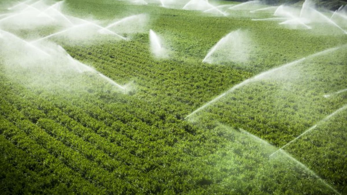 El GOB demana que els grans consumidors paguin pel seu ús abusiu de l'aigua