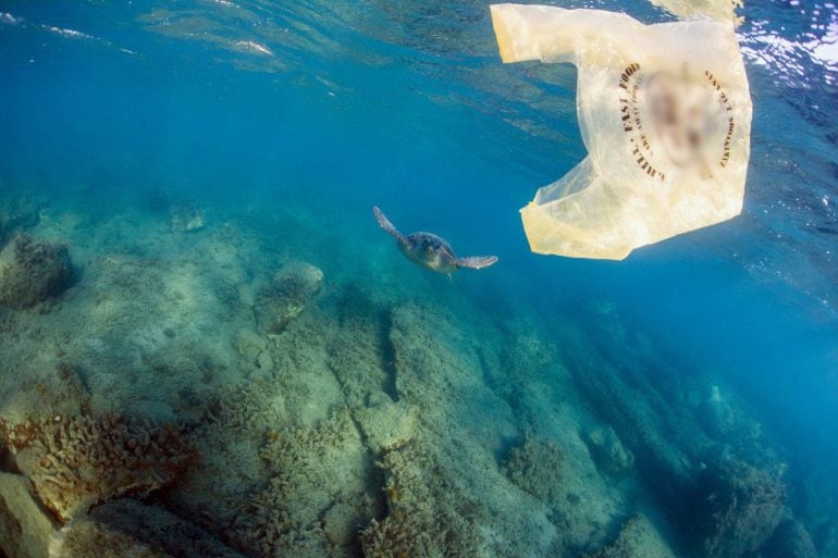 Este es una de las millones de bolsas de plástico de un solo uso que acaban en el mar provocando un grave impacto ambiental. 