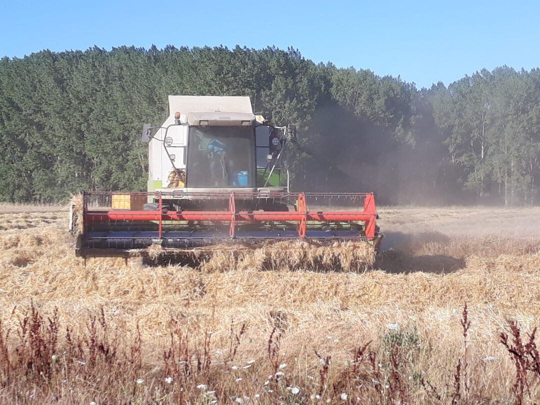 UPA Palencia califica de catastrófico el año 2021 para la agricultura